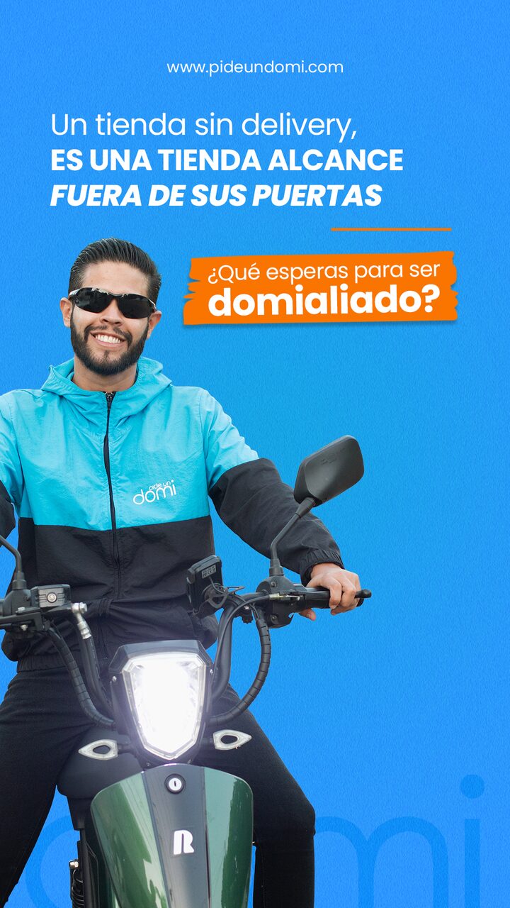 Historia domi