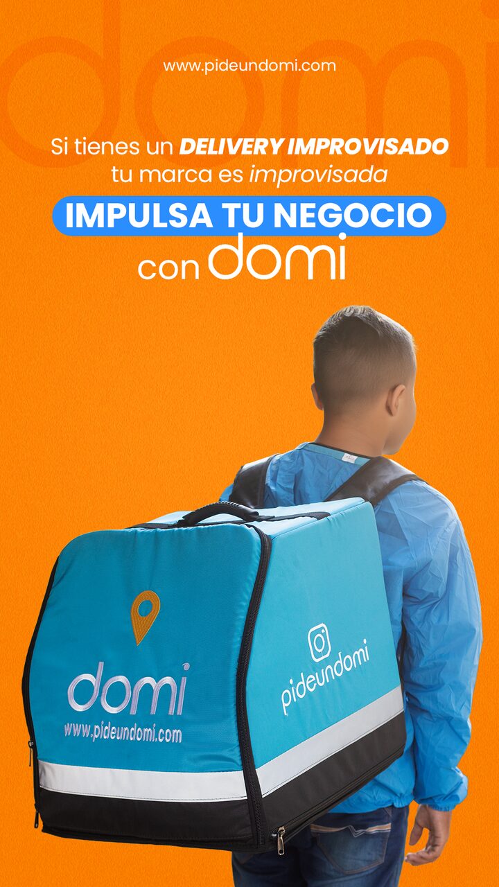 Historia domi