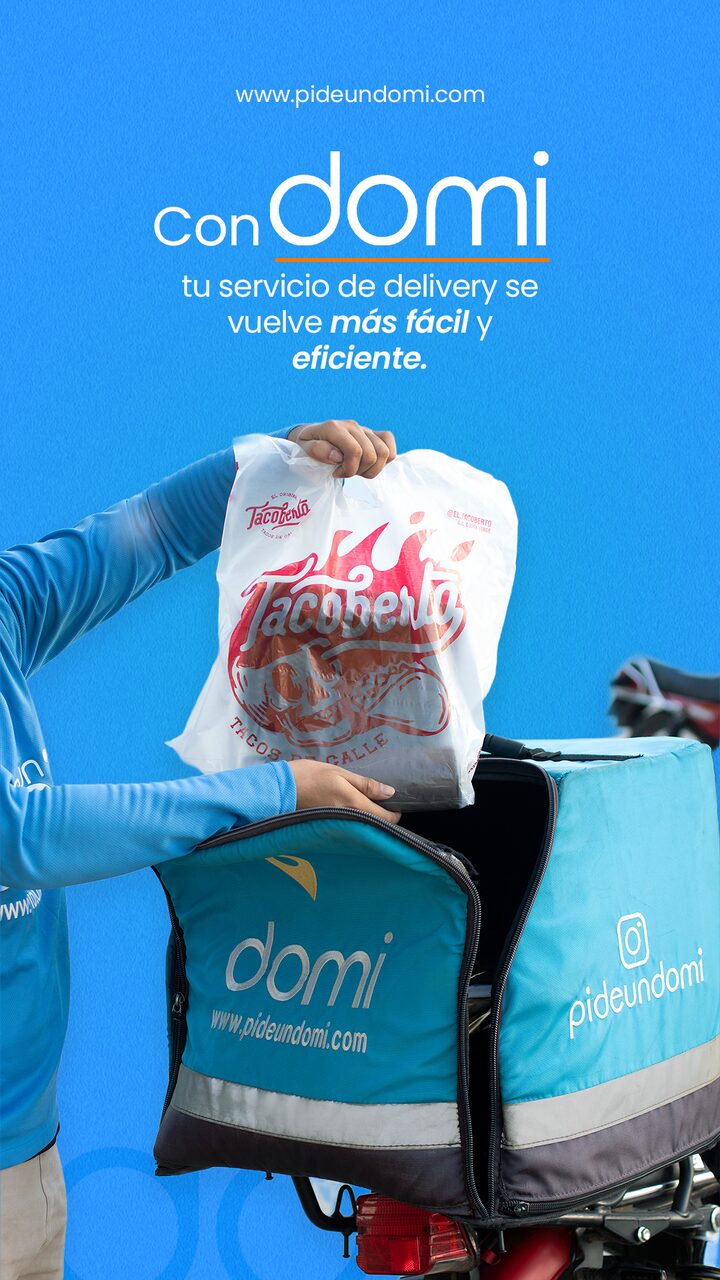 Historia domi